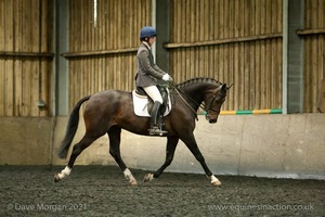 Isis Dressage Crown Farm Show 29th April 2012